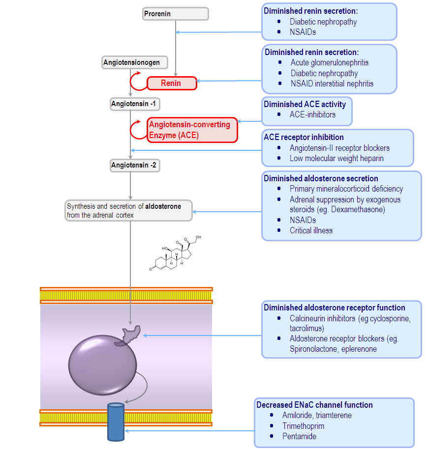 causes of type 4 renal tubular acidosis