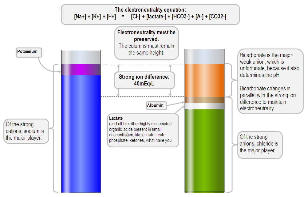 gamblegram of the strong ion difference
