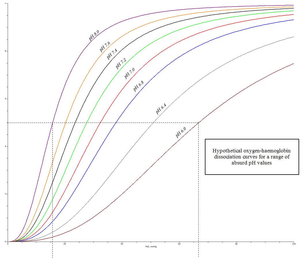 Hypothetical oxygen-haemoglobin dissociation curves for a range of absurd pH values