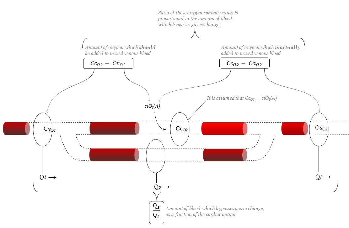 The Berggren shunt equation diagram