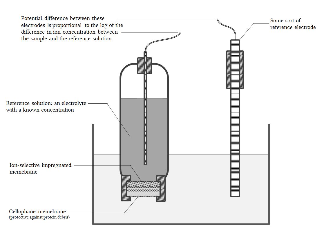 a generic ion-selective electrode