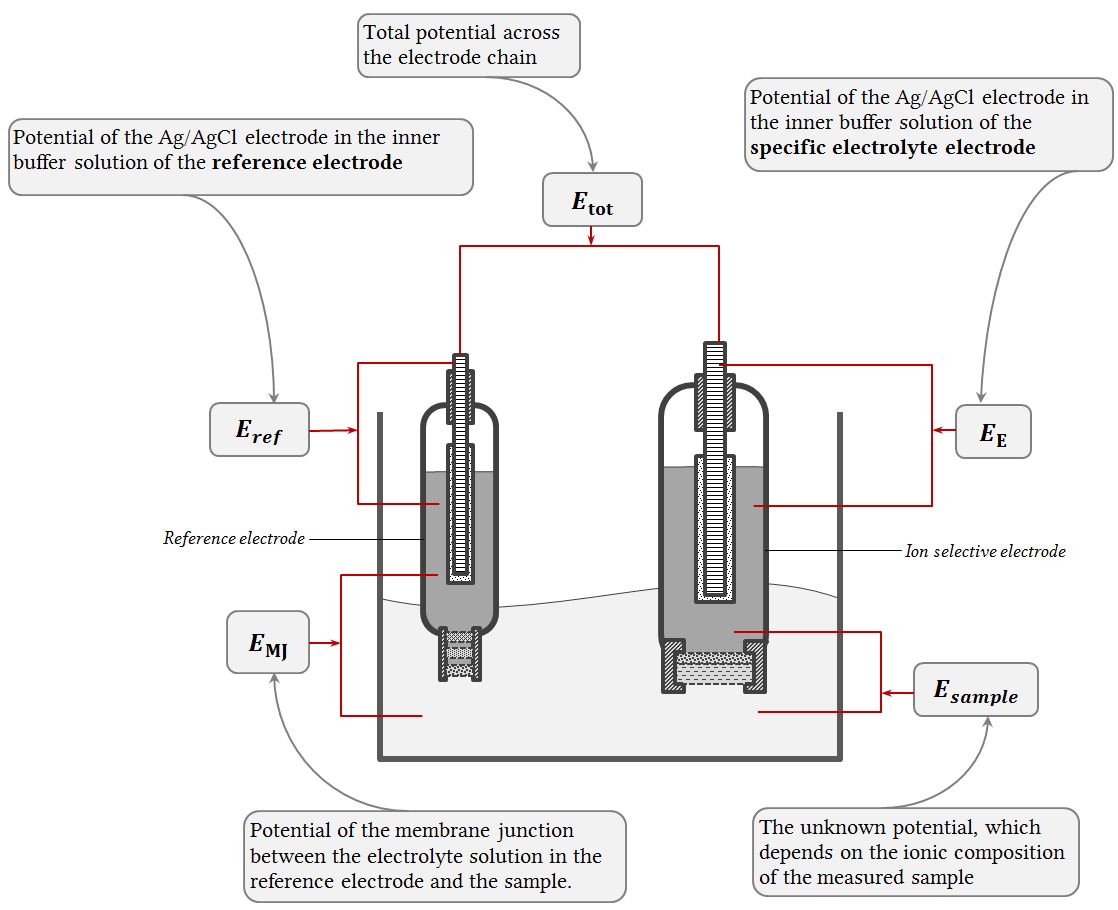 diagram of potentiometric ion-selective electrode chain