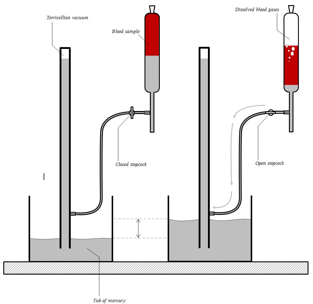 manometric / volumetric measurment of dissolved blood gases