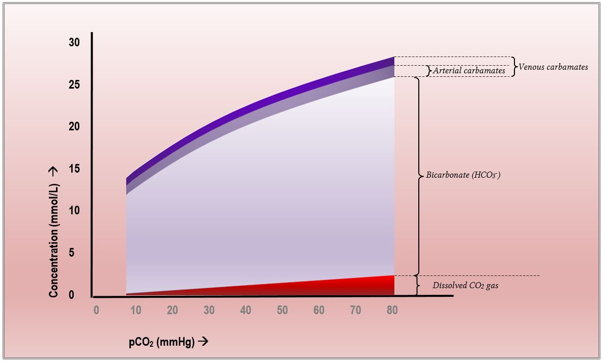 plot of pco2 vs hco3 blood concentrations