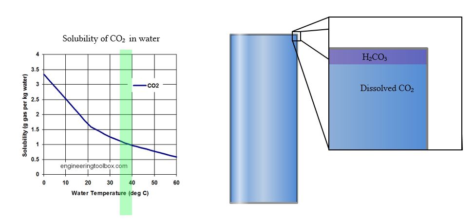 solubility of CO2 in water
