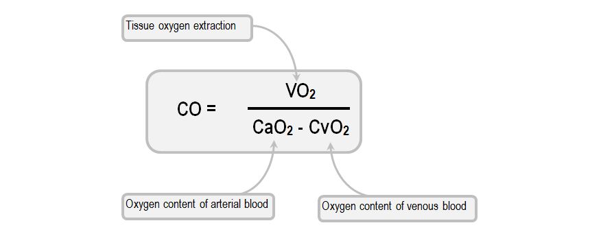 Labelled ficks equation relating oxygen extraction and oxygen delivery