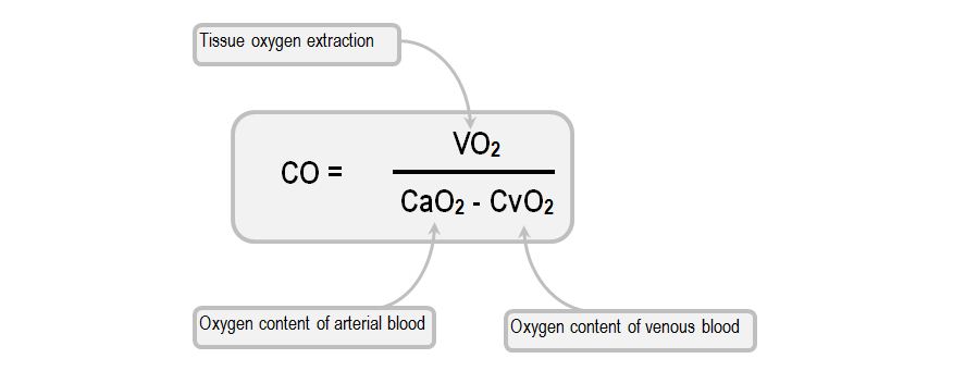 Labelled ficks equation relating oxygen extraction and oxygen delivery