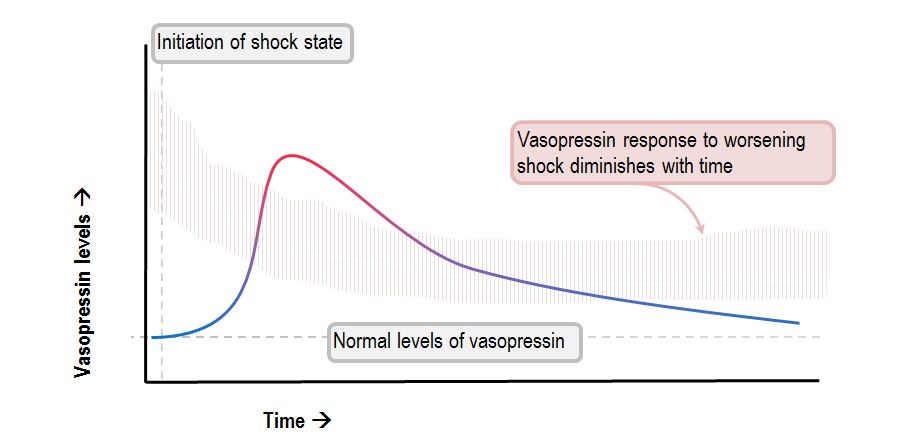 decrease in vasopressin levels over the course of an episode of shock