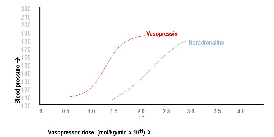 vasopressin and noradrenaline  dose-response curve