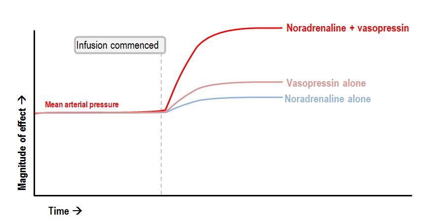 vasopressin enhances vascular sensitivity to catecholamines
