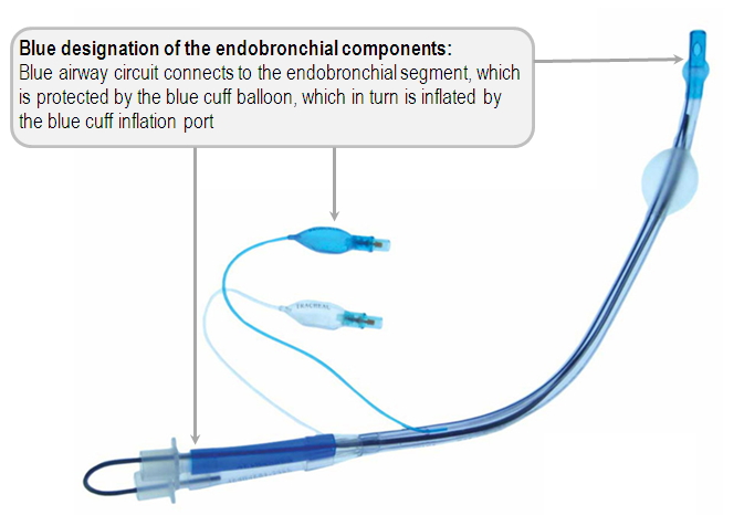 blue designantion of endobronchial DLT components