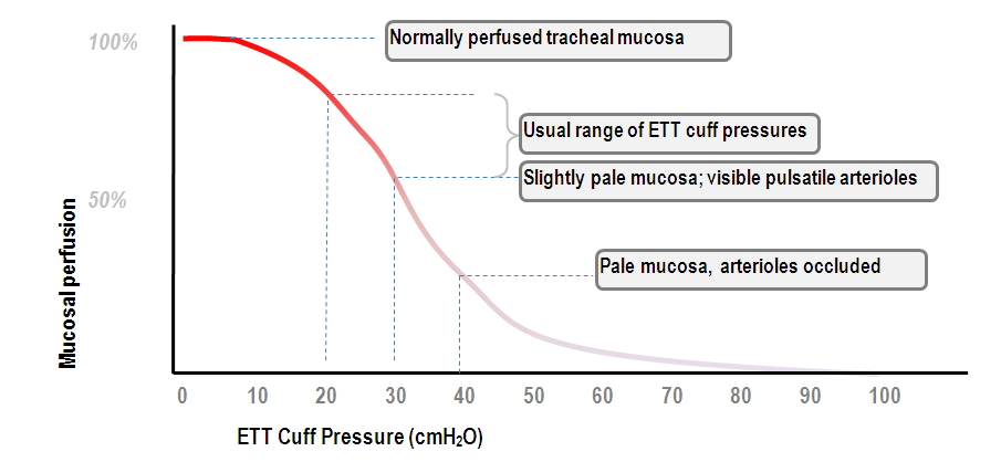 influence of ETT cuff pressure on tracheal mucosal perfusion