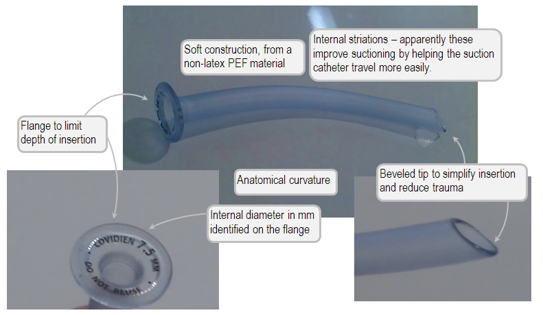 Anatomy of the nasopharyngeal airway