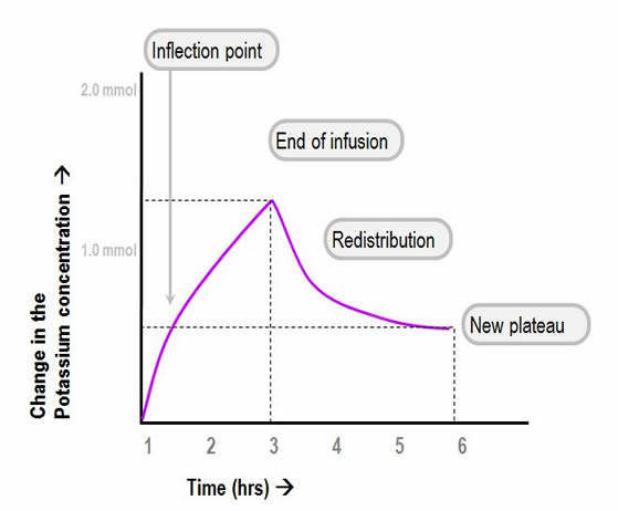 behaviour of potassium concentration after infusion in absence of renal excretion