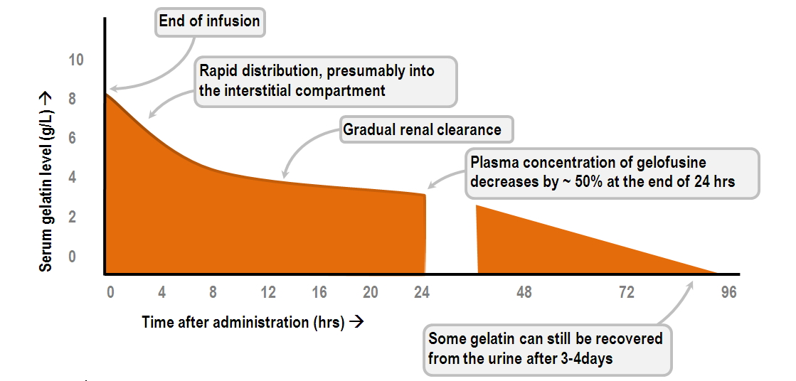 clearance of infused gelofusine