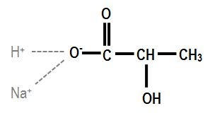 lactate