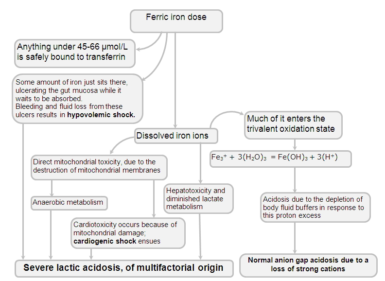 mechanism of metabolic acidosis due to iron overdose
