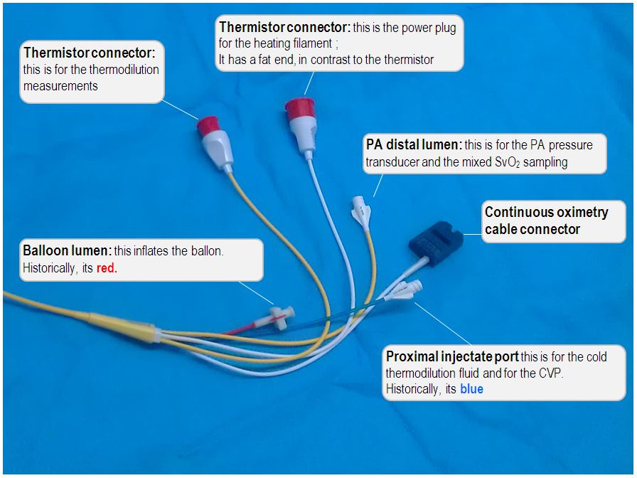 anatomy of the PA catheter- actual catheter