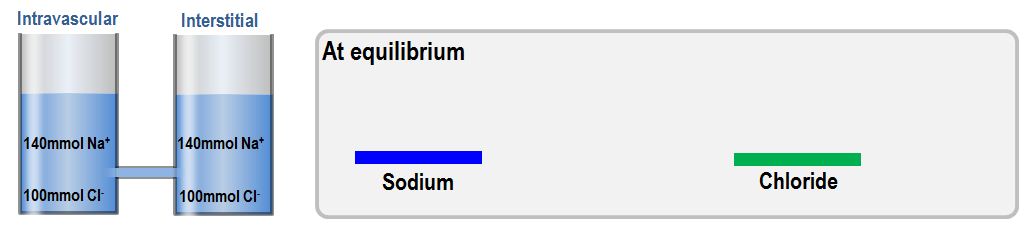 Gibbs-Donnan equilibrium