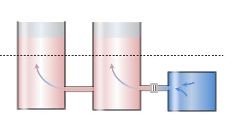 Redistribution of water after a mannitol injection