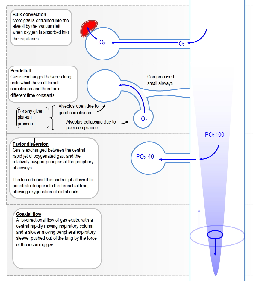 mechanisms of gas exchange in HFOV