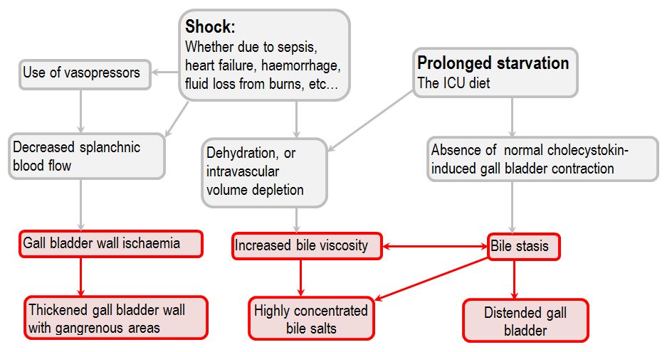 mechanism of acalculous cholecystitis