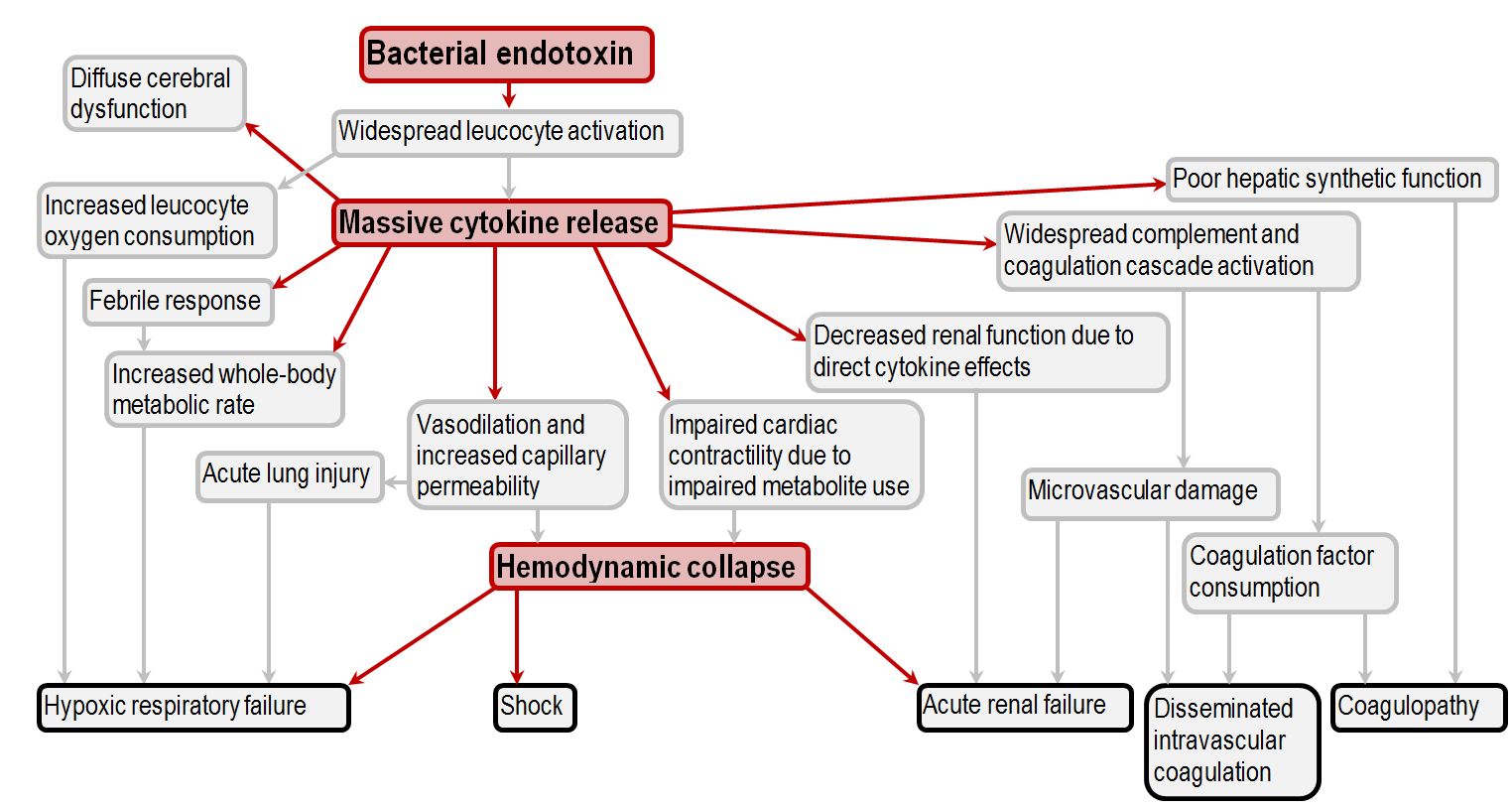 Pathogenesis of multi-organ system failure in sepsis | Deranged Physiology