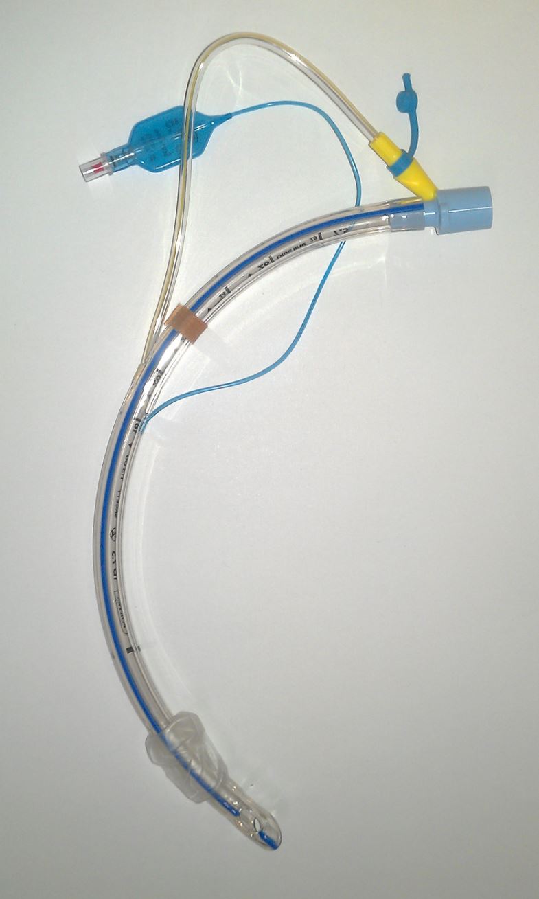 an endotracheal tube