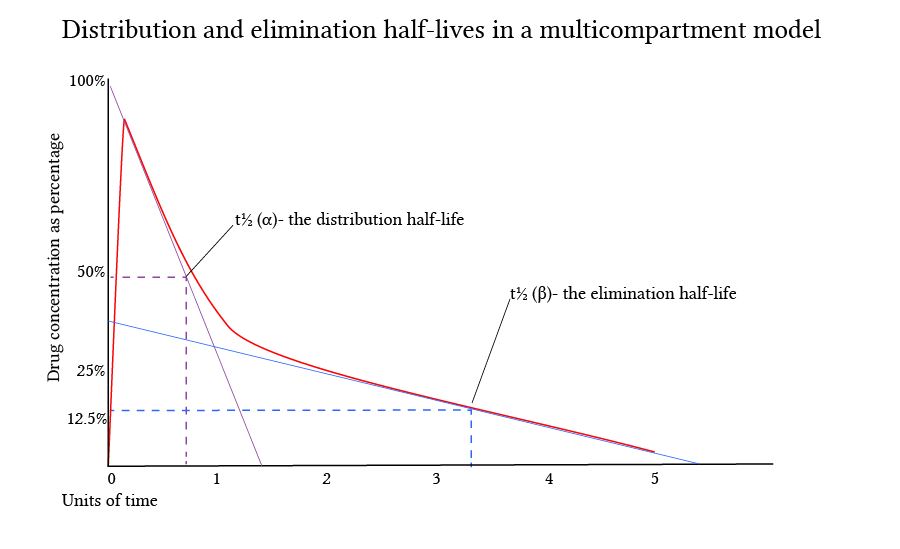 Drug Half Life Chart