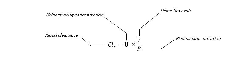 Equation for renal clearance from urinary drug concentration