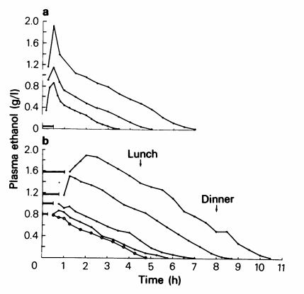 Alcohol Metabolism Rate Chart