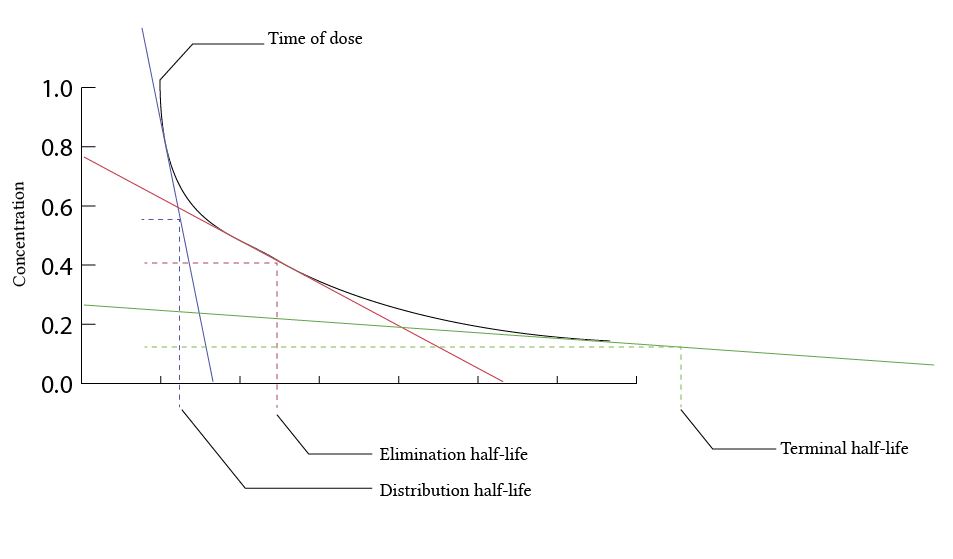 Three compartment model graph -multiple half lives