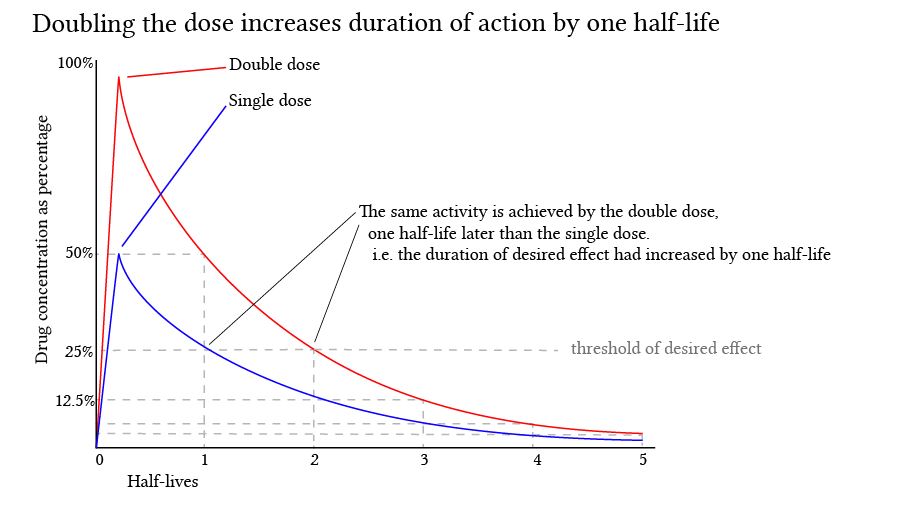 Drug Half Life Chart