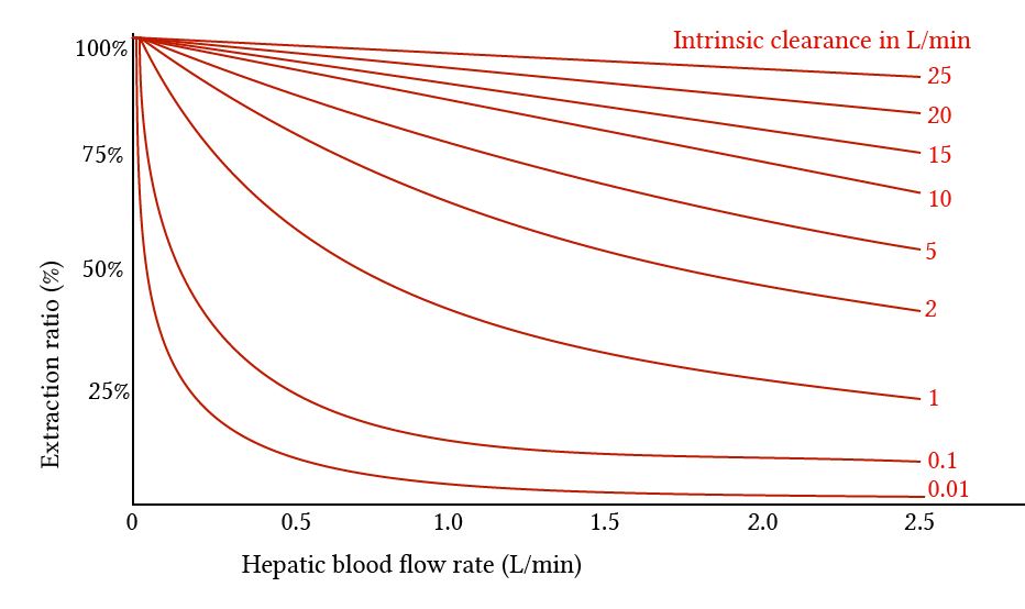 relationship of extraction ratio to hepatic blood flow