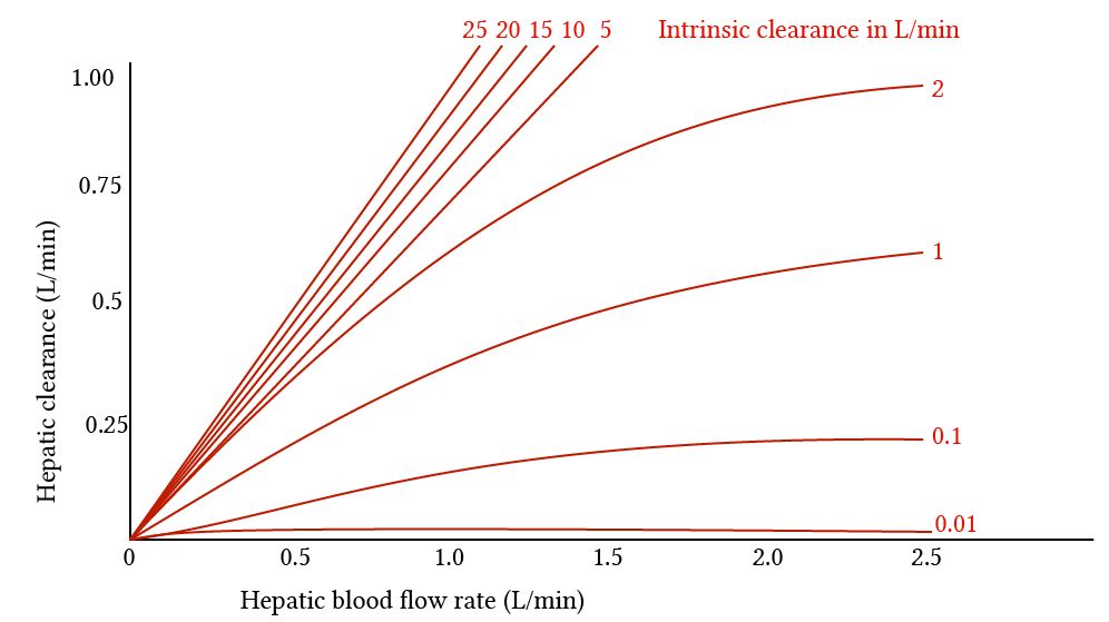 relationship of hepatic clearance to hepatic blood flow