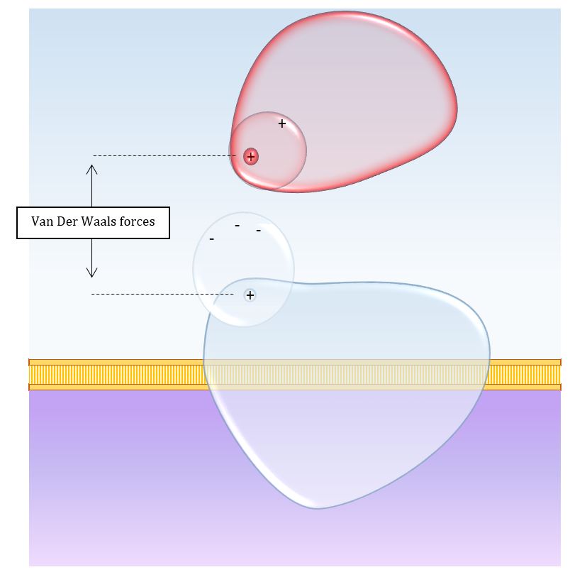 Van Der Waals forces