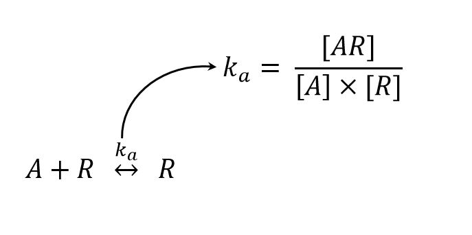 agonism equation