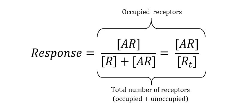response as a function of occupied receptors