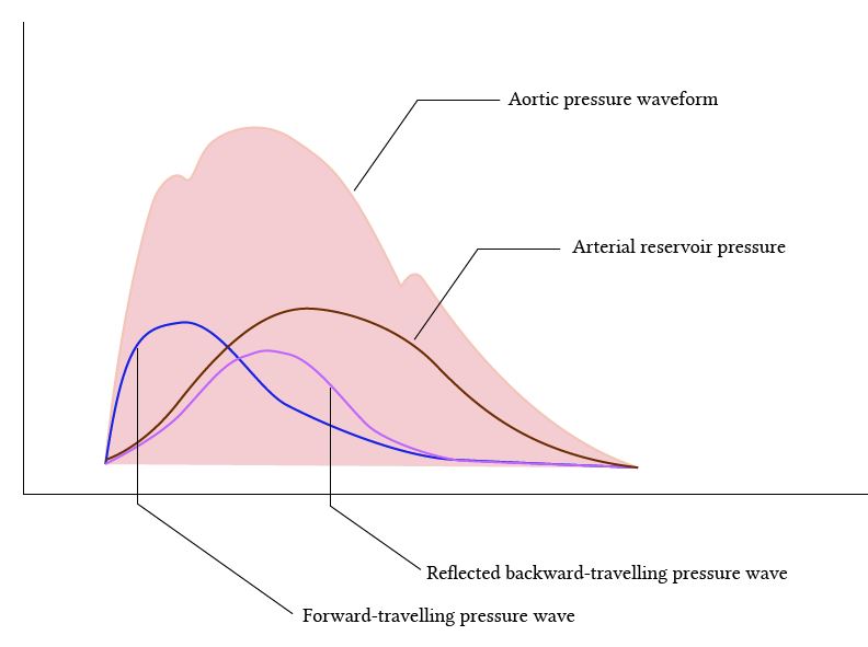 arterial reservoir pressure in the aortic waveform