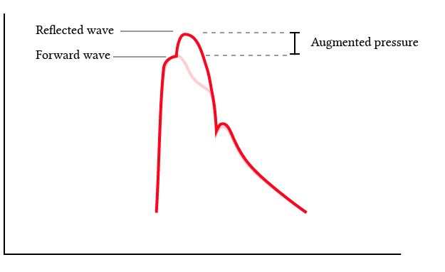 effect of the reflected pressure waves on the shape of the arterial pulse waveform