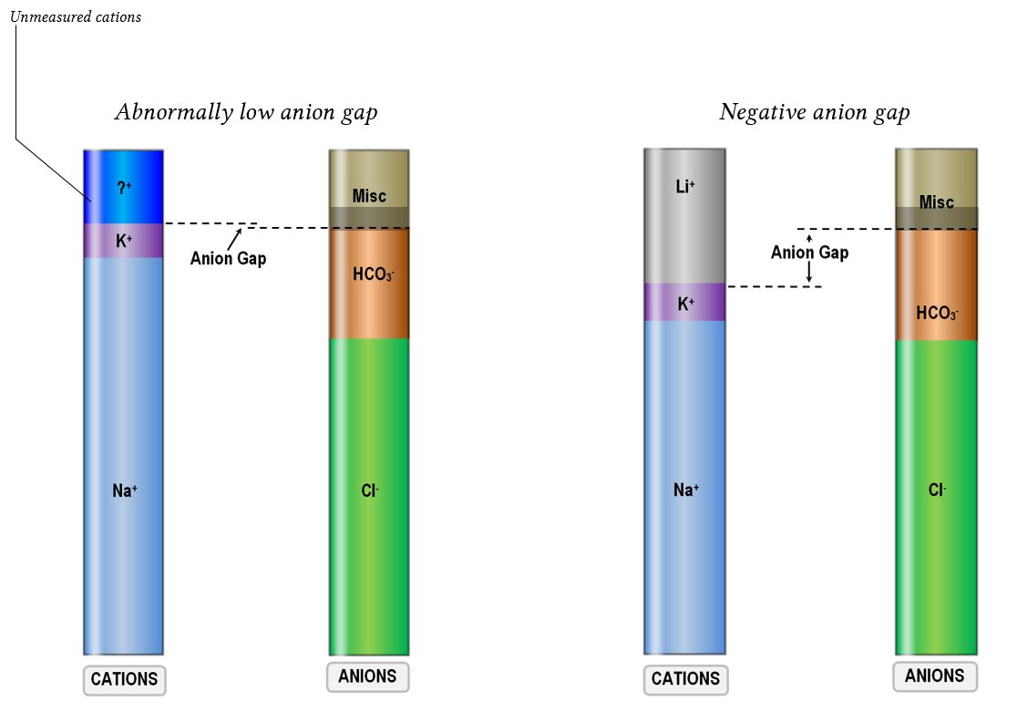 anion gap changes due to cation poisoning