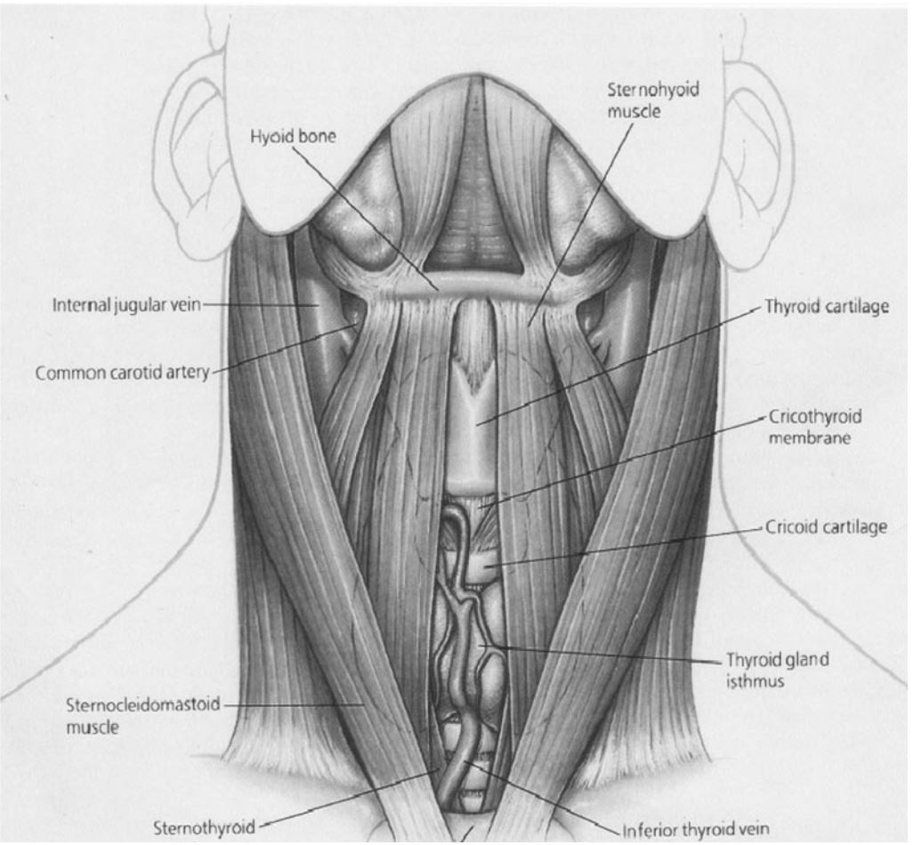 percutaneous tracheostomy procedure