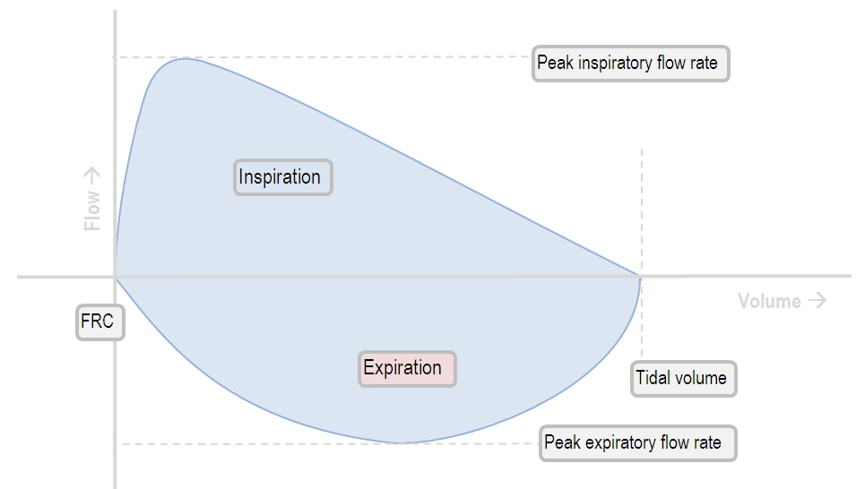 Flow-volume loop in normal lung