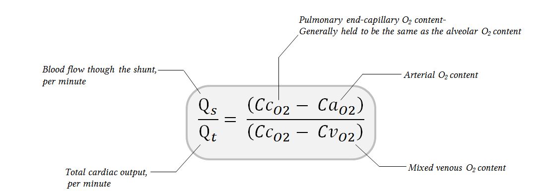 Gas Exchange And Ventilationperfusion Relationships In The Lung